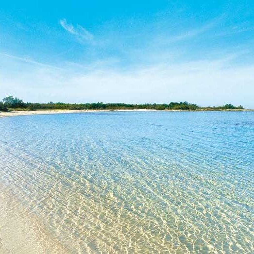 paesaggio essenza di puglia.1 paesaggio essenza di puglia.1